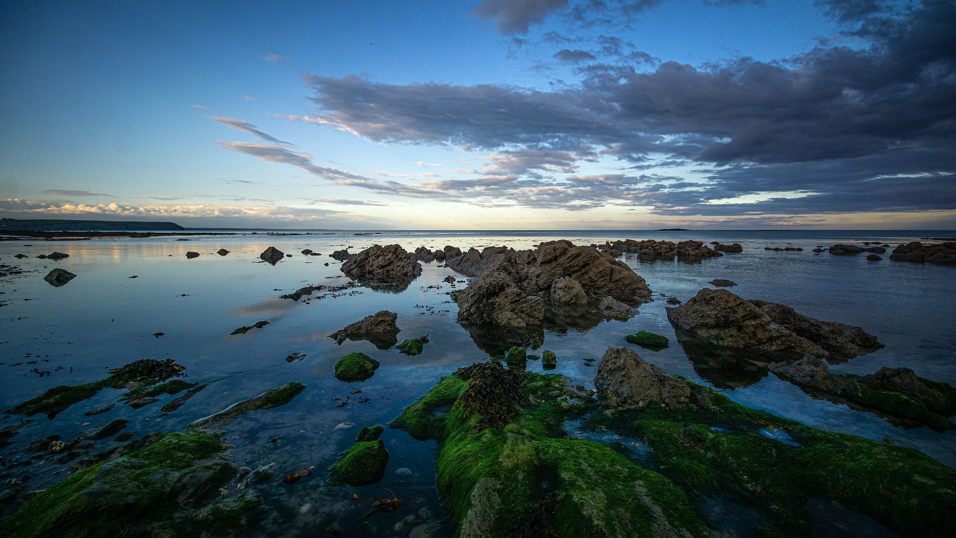 Irish coast